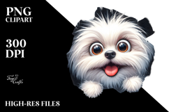 Crazy Maltese on Ice | Sublimation, Clipart Product Image 2
