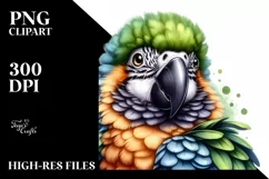 Funny Cute Parrot Portrait | Sublimation Clipart Product Image 3