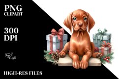 Watercolor Vizsla with Christmass Gifts PNG Product Image 3