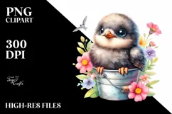 Colorful Arctic Skua Baby Bucket | Sublimation | Clipart Product Image 3
