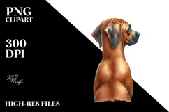 Watercolor Rhodesian Ridgeback with Christmass Gifts PNG Product Image 2