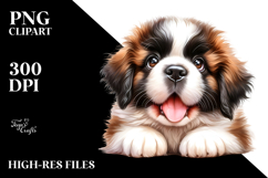 Happy Baby Saint Bernard.png Product Image 2