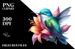 Vibrant Sleeping Hummingbird Clipart Product Image 2