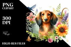 Watercolor Dachshund Sticker Summer | Clipart Product Image 1