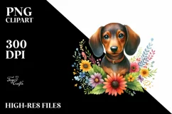 Watercolor Dachshund Sticker Summer | Clipart Product Image 1