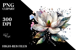 Magnolia with Material, Transparent PNG Product Image 2