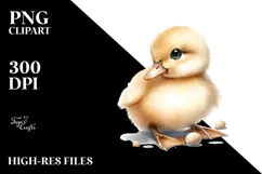 Baby Duck Digital Watercolor PNG Product Image 2