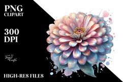Detailed Pastel Shiny Zinnia in Transparent PNG Product Image 3
