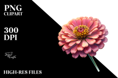 Zinnia with Golden Insertions, Watercolor Splash, PNG Product Image 2