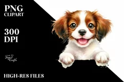 Cute Baby Brittany | Sublimation | Clipart Product Image 1