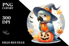 Cute Baby Macaw on Star Halloween PNG Product Image 2