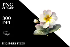 Primrose with Golden Insertions, Transparent PNG Product Image 2