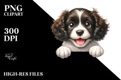 Colorful Small Baby English Springer Spaniel | Sublimation Product Image 1