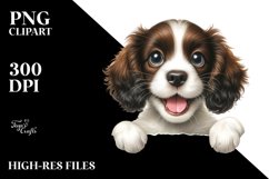 Colorful Small Baby English Springer Spaniel | Sublimation Product Image 1
