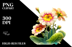 Primrose with Watercolor Splash, PNG Product Image 2
