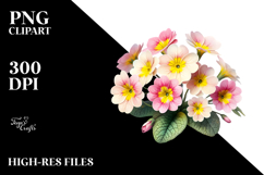 Primrose with Watercolor Splash, PNG Product Image 2