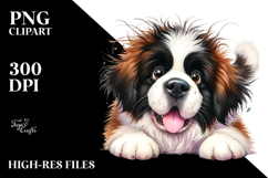 Happy Baby Saint Bernard.png Product Image 2