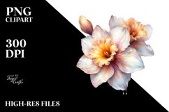 Colorful Shiny Narcissus Clipart Product Image 3