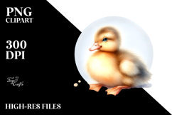 Cute Baby Duck, PNG Product Image 2