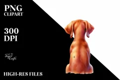 Bright Vizsla with Christmas Decor, High-Res PNG Product Image 3