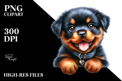 Baby Rottweiler, PNG Product Image 2