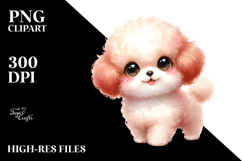 Cute Bichpoo PNG Product Image 2
