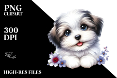 Baby Havanese Watercolor PNG Product Image 2