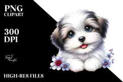 Baby Havanese Watercolor PNG Product Image 2