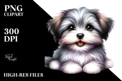 Baby Havanese Watercolor PNG Product Image 2
