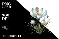 Watercolor Crocus, Transparent PNG Product Image 2