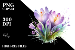 Crocus Watercolor Splash PNG Product Image 2