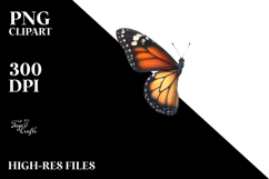 Butterfly made of Flowers, PNG Product Image 2