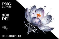 Glossy Crocus | Material | Metallic Insertions | Clipart Product Image 1