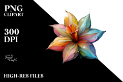 Transparent Daffodil, Summer PNG Product Image 2