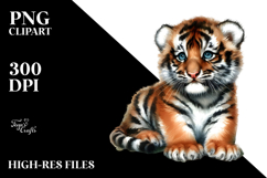 base keywords:sublimation,png,summer,sticker,flower,clipart Product Image 2