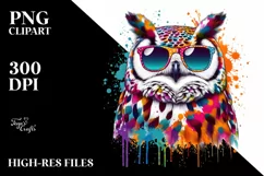 Quirky Colorful Owl Sunglasses Splashes of Paint Product Image 1