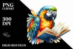 Colorful Macaw Book Reading Clipart Product Image 3