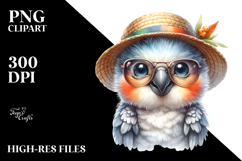 Cute Parrot with Hat, Transparent PNG Product Image 2
