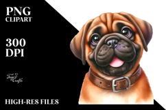 Cute Bullmastiff Watercolor PNG Product Image 2