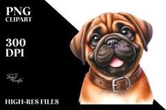 Expressive Cute Bullmastiff PNG Product Image 2