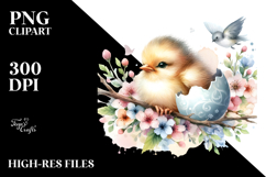 Cute Baby Bird, PNG Product Image 2