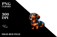 Watercolor Dachshund Beach Clipart Product Image 2