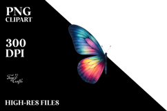 Colorful Butterfly Painting, Transparent PNG Product Image 2