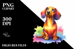 a Cute Sitting Dachshund Looking Up PNG Product Image 1