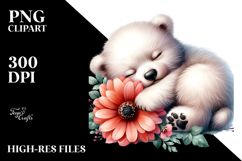 Cute Sleeping Baby Polar Bear, PNG Product Image 2
