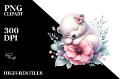 Cute Sleeping Baby Polar Bear, PNG Product Image 2