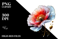 Poppy with Material, Transparent PNG Product Image 2
