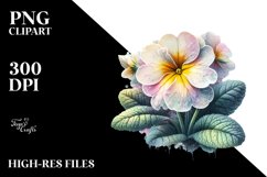 Detailed Primrose Clipart Product Image 1