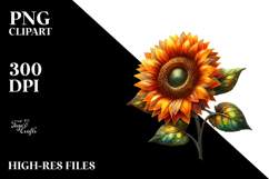 Sunflower with Watercolor Splash PNG Product Image 2