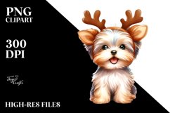 Expressive Yorkipoo PNG Product Image 3